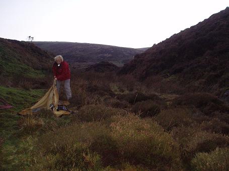 Wild Karin on Exmoor